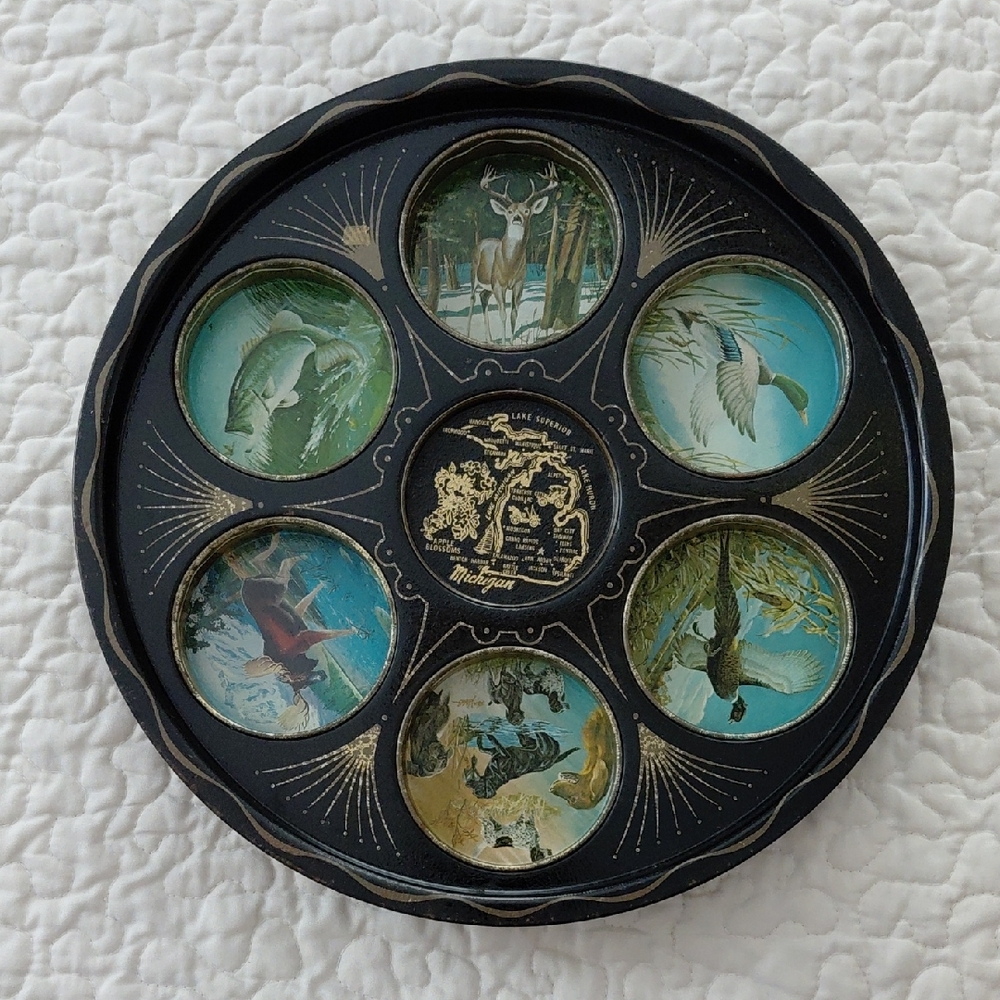 Vintage Michigan Souvenir Drink Serving Tray